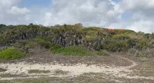 Amazing Beach Plot for Sale at Kigamboni