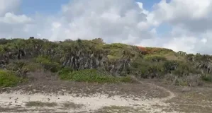 Amazing Beach Plot for Sale at Kigamboni
