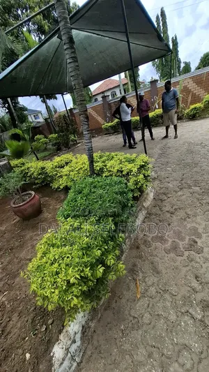 Better Land at Mbez Beach Shoppers