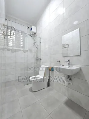 Furnished 1bdrm Apartment in Kijitonyama for rent