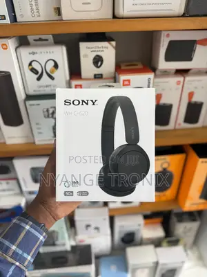 Sony Wh-Ch520