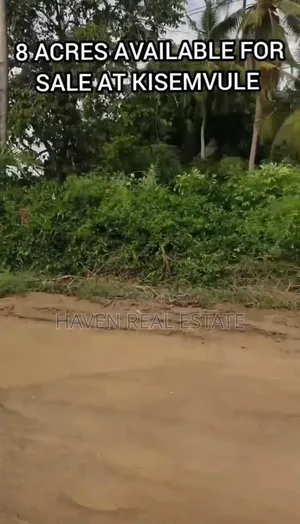 8 Acres Main Road Zinauzwa Kisemvule