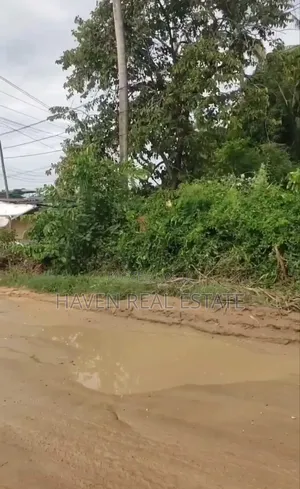 8 Acres Main Road Zinauzwa Kisemvule