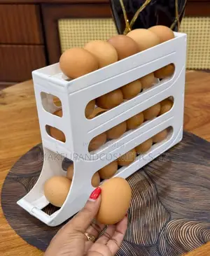 Egg Tray New