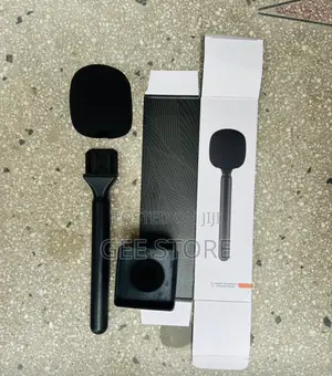 Lavellar Microphone