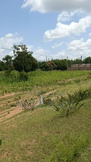 Plot for Sale
