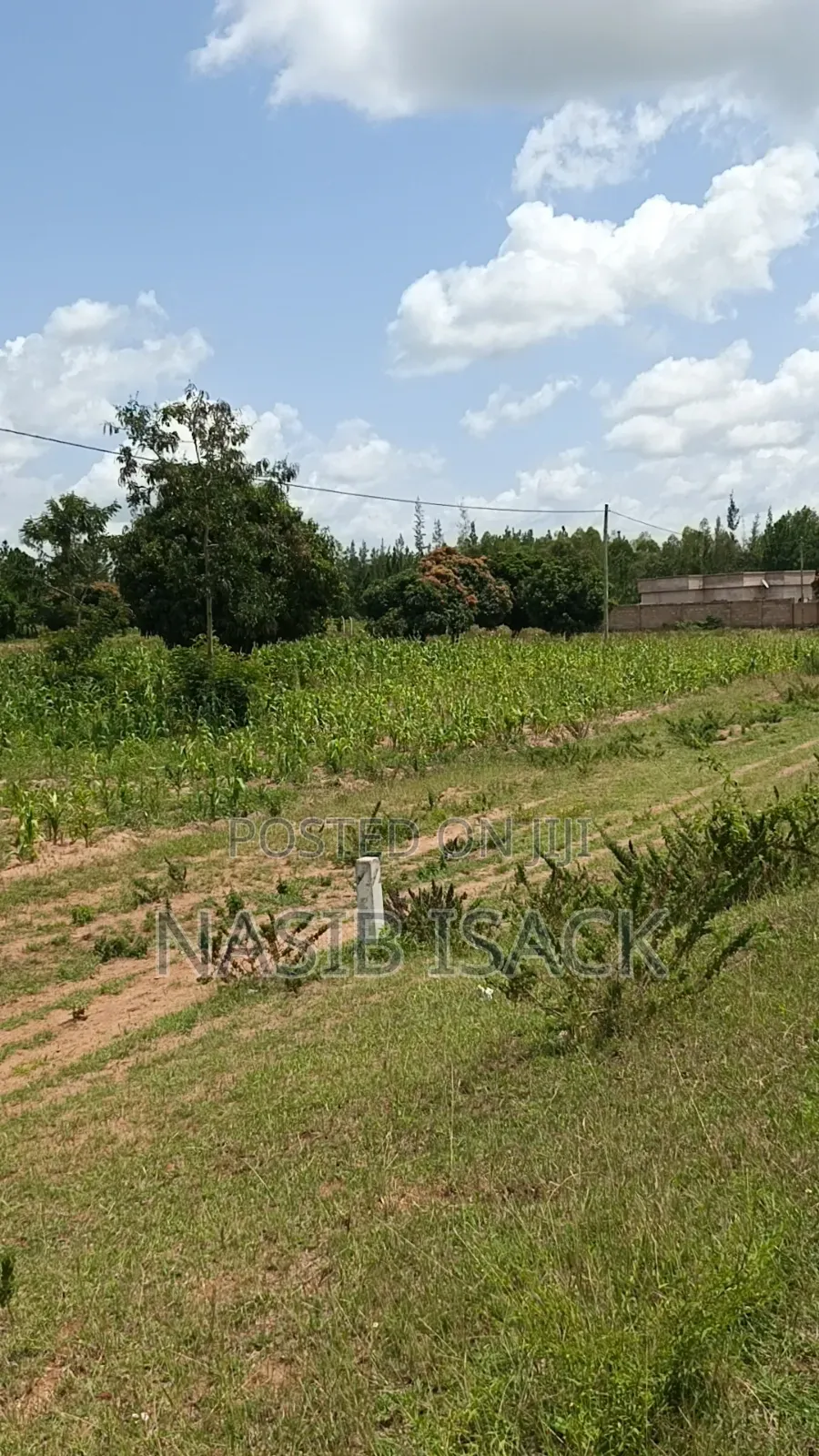 Plot for Sale
