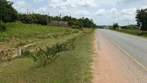 Plot for Sale
