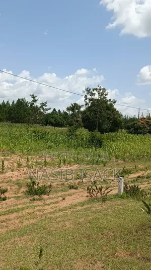 Plot for Sale