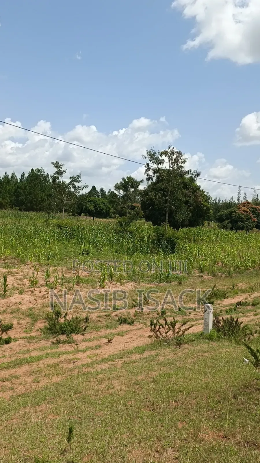 Plot for Sale
