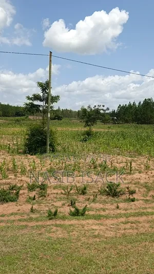 Plot for Sale Mwanza Usagara