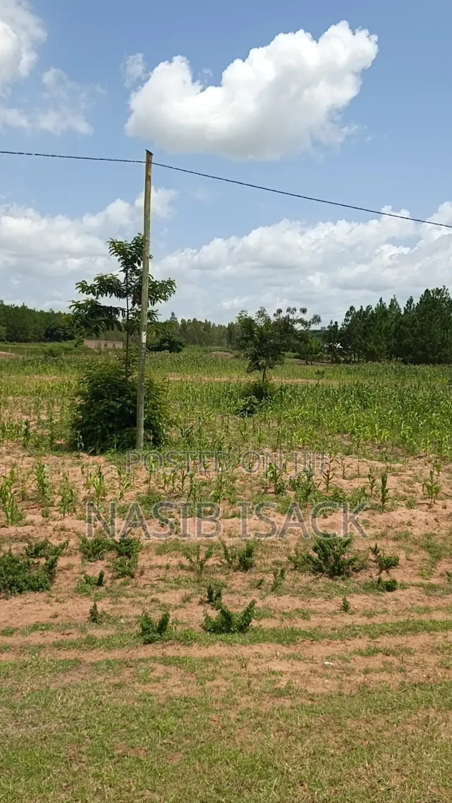 Plot for Sale Mwanza Usagara
