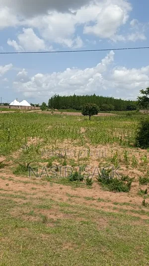 Plot for Sale Mwanza Usagara