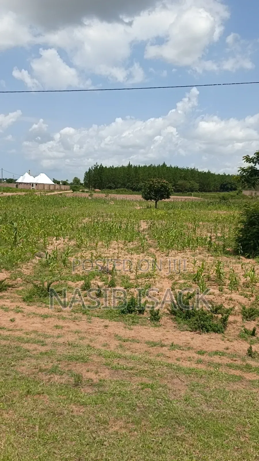 Plot for Sale Mwanza Usagara