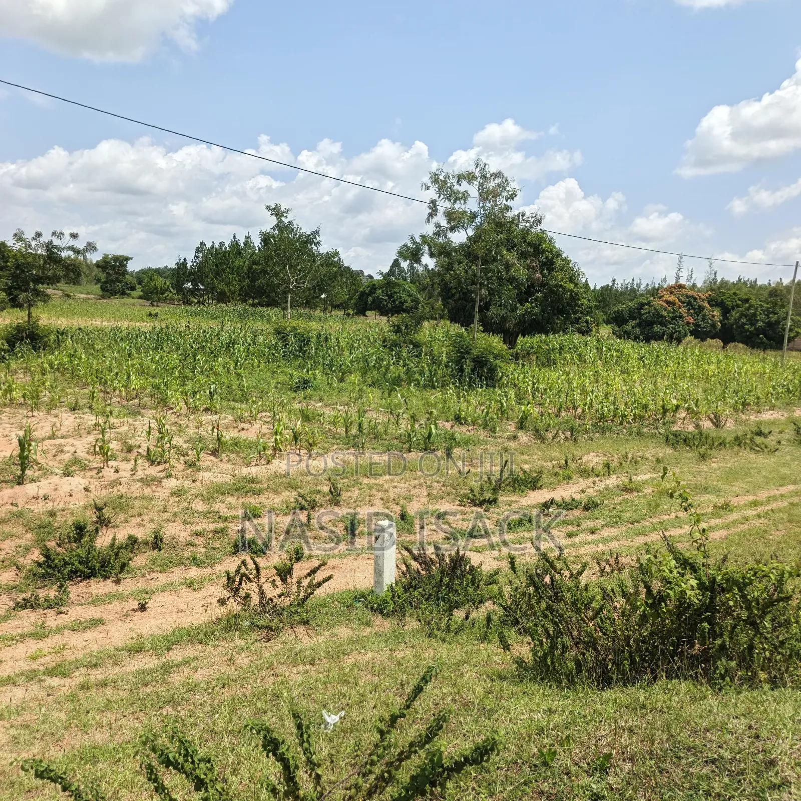 Plot for Sale Mwanza Usagara