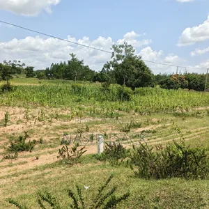 Plot for Sale Mwanza Usagara