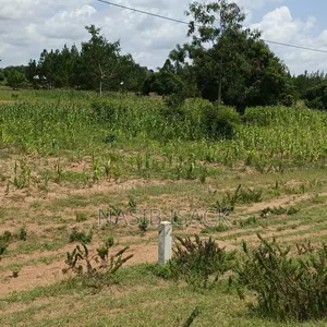Plot for Sale Mwanza Usagara