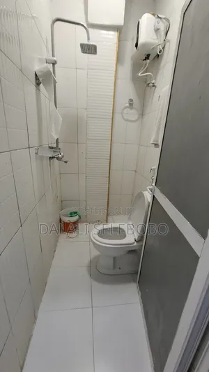 Furnished 1bdrm Bedsitter in Makumbusho Bus Stop, Kijitonyama for rent