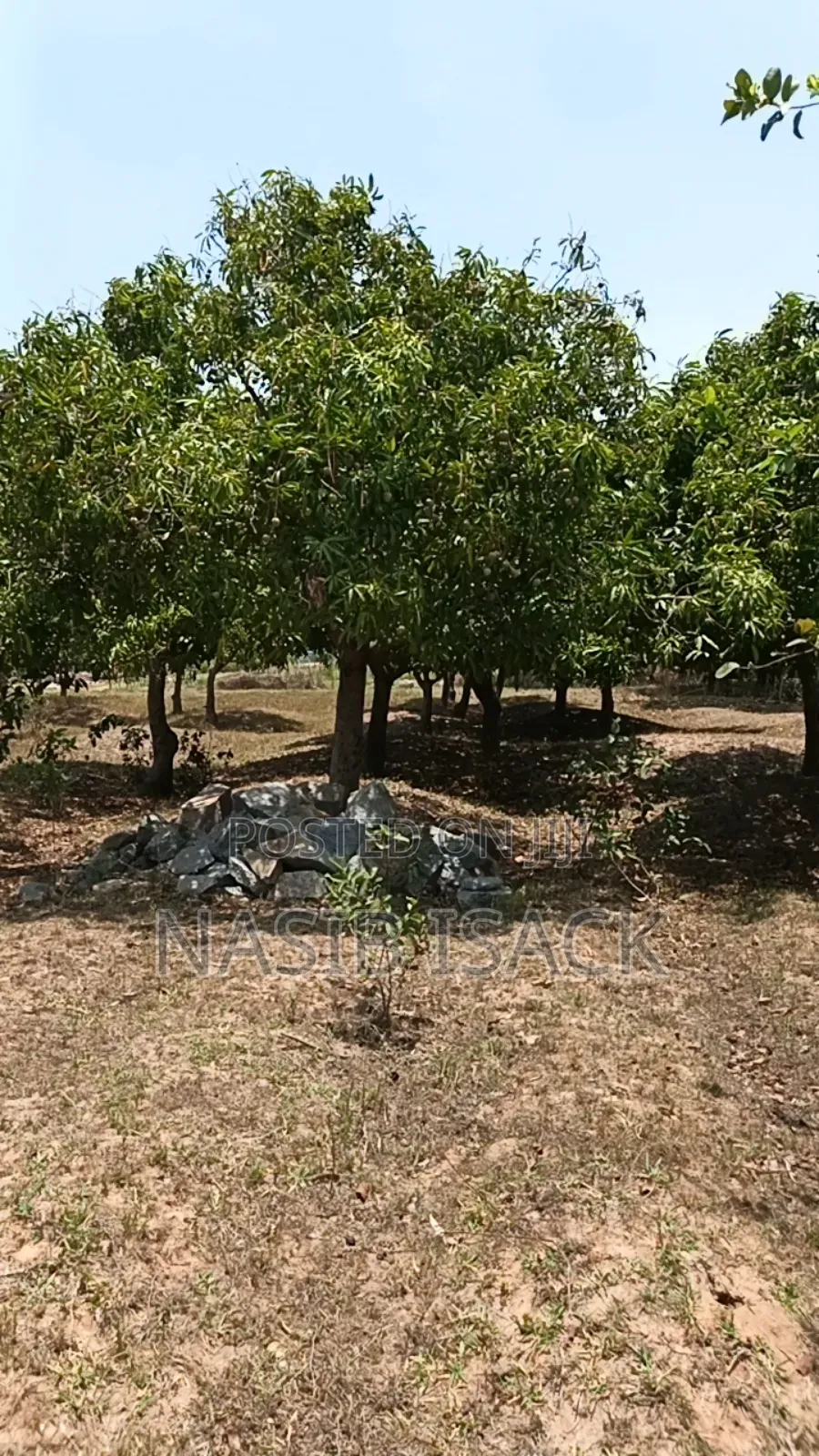 Plot for Investment Mwanza Kiseke