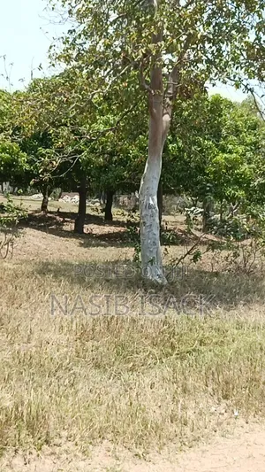 Plot for Sale Mwaza Square Meter