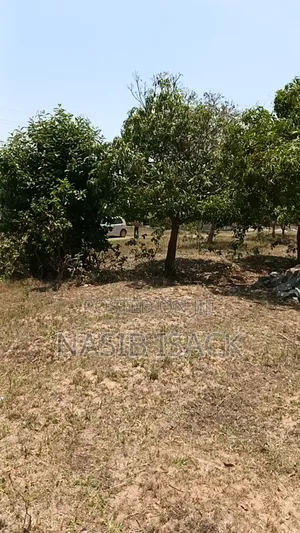 Plot for Sale Mwaza Square Meter