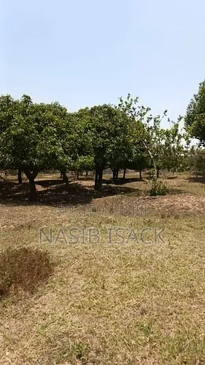 Plot for Sale Mwaza Square Meter