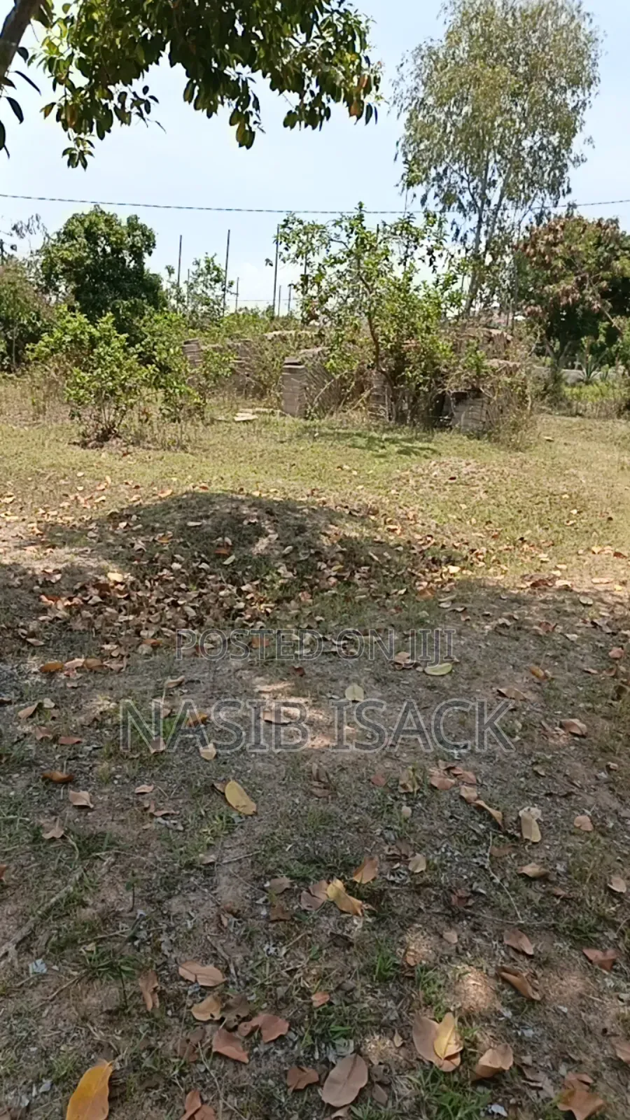 Plot for Sale Mwaza Square Meter
