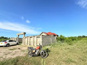 3bdrm House in Zinga for sale