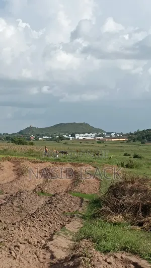 Plot for Sale