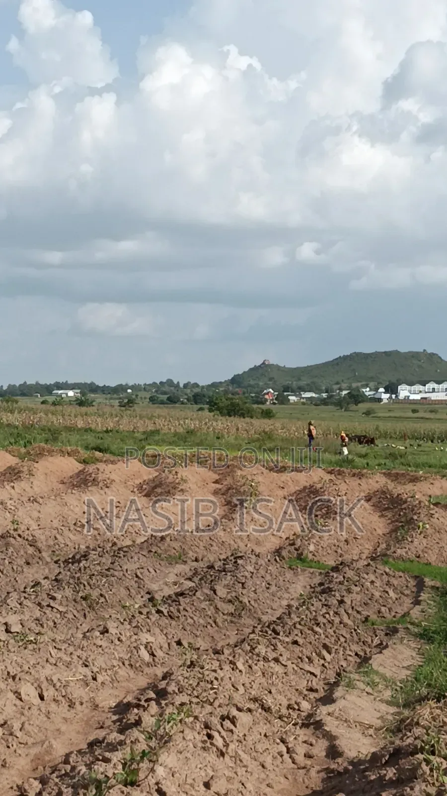 Plot for Sale