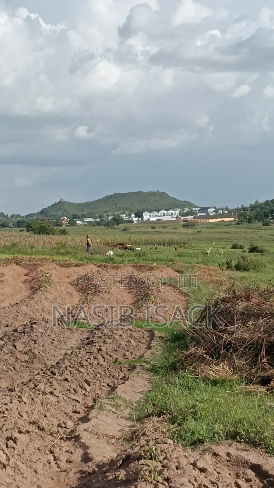 Plot for Sale