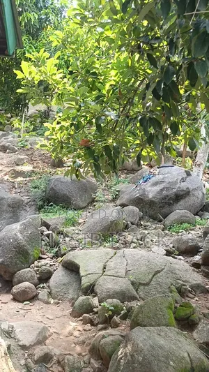 Plot for Sale Ilemela Airport Mwanza
