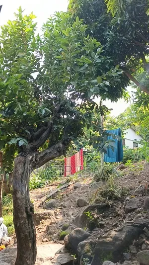 Plot for Sale Ilemela Airport Mwanza