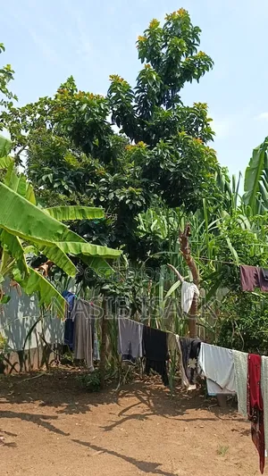 Plot for Sale Ilemela Airport Mwanza