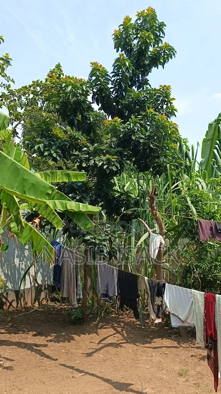 Plot for Sale Ilemela Airport Mwanza