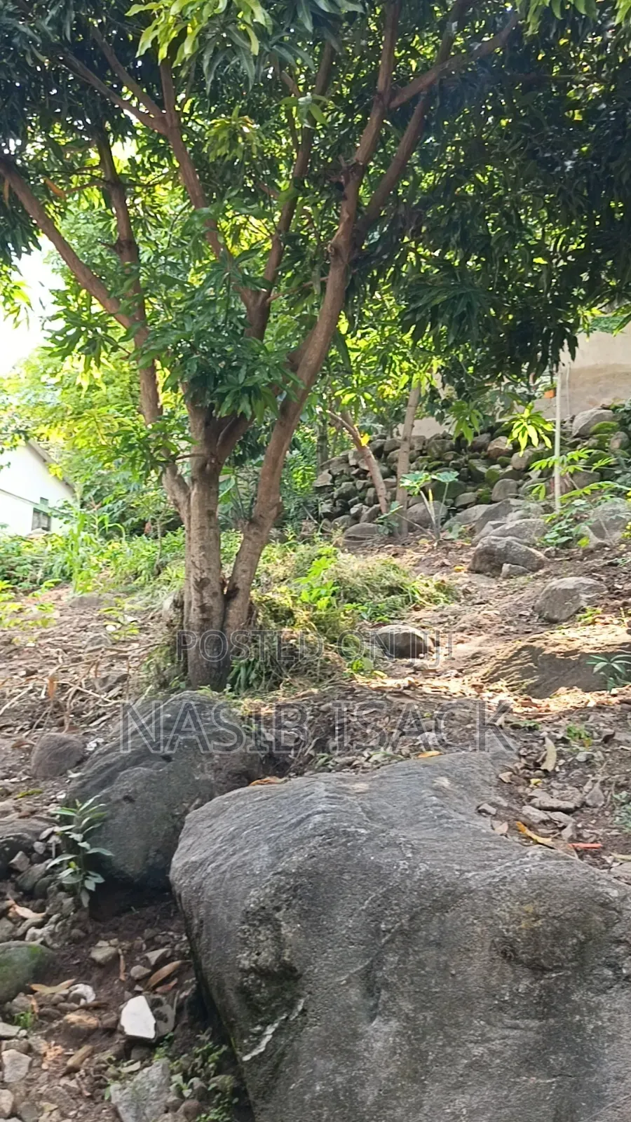 Plot for Sale Ilemela Airport Mwanza