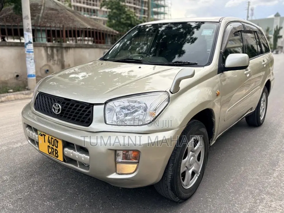 Toyota RAV4 2006 Gold