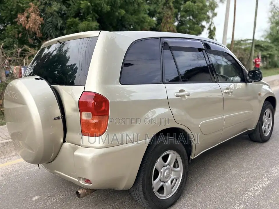 Toyota RAV4 2006 Gold