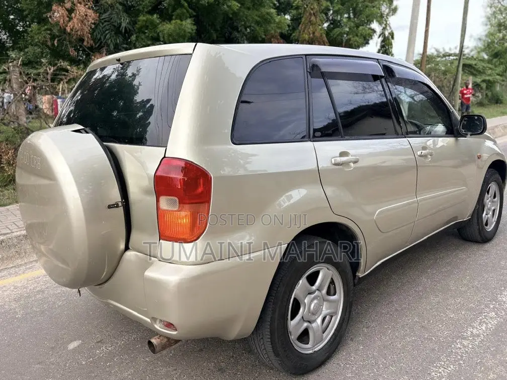 Toyota RAV4 2006 Gold