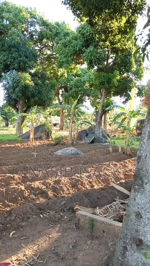 Plot for Sale Bwiru Ziwani
