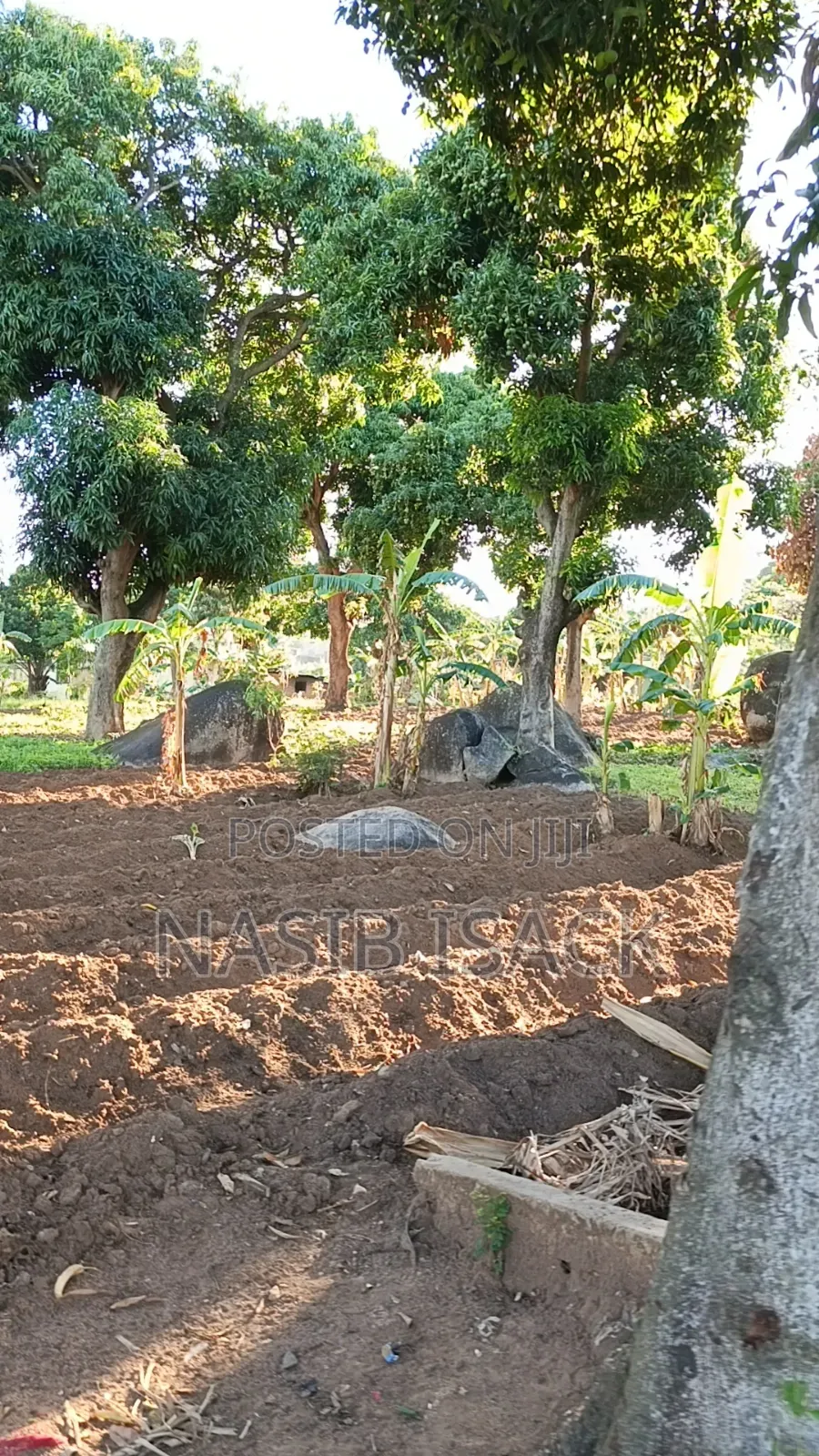 Plot for Sale Bwiru Ziwani