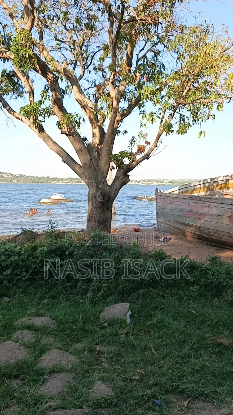 Plot for Sale Bwiru Ziwani