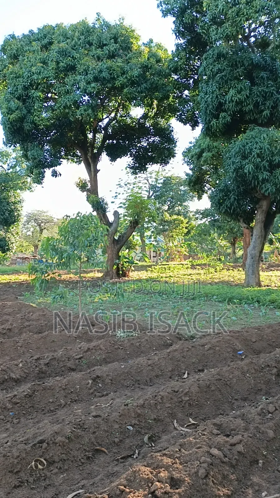 Plot for Sale Bwiru Ziwani