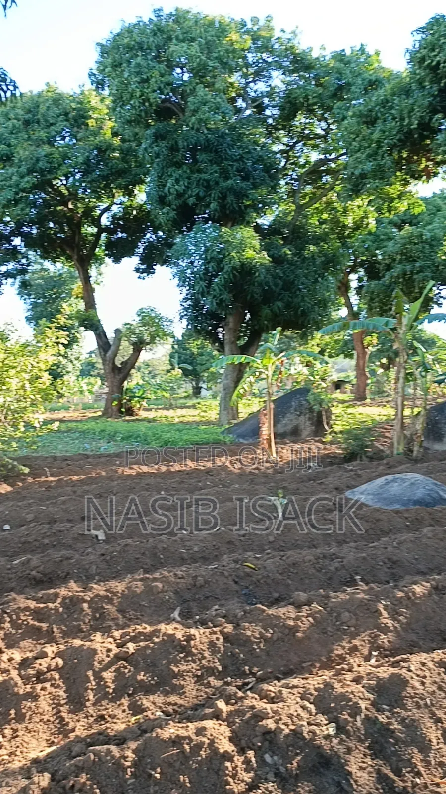 Plot for Sale Bwiru Ziwani