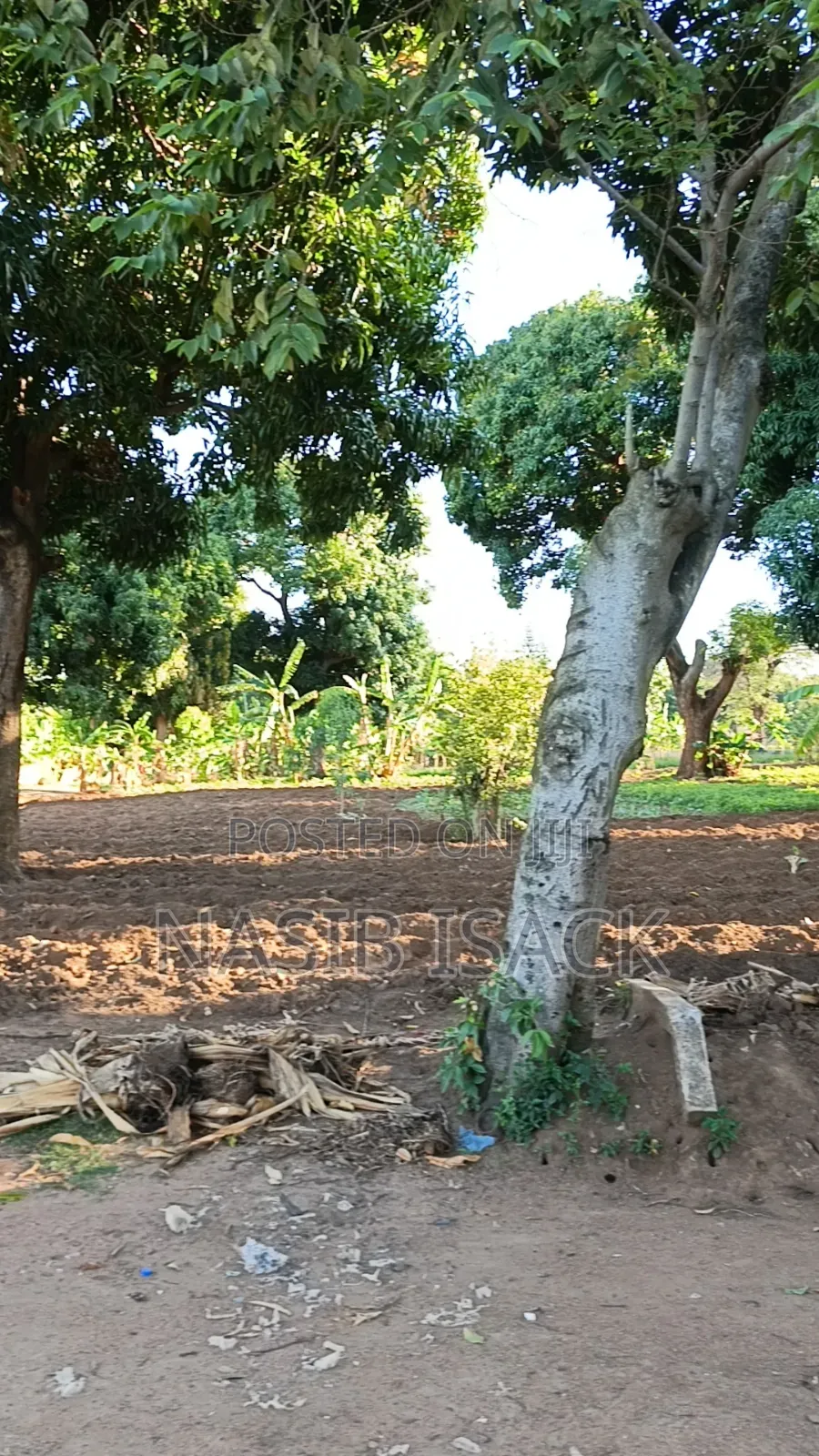 Plot for Sale Bwiru Ziwani