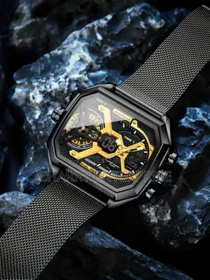 Luxury Poedagar Watch Full Box Water Resistant Shows Date and Days