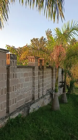 Plot for Sale