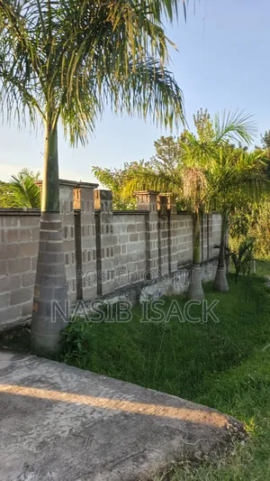 Plot for Sale