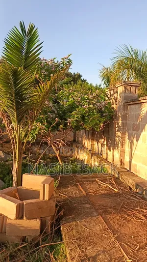 Plot for Sale