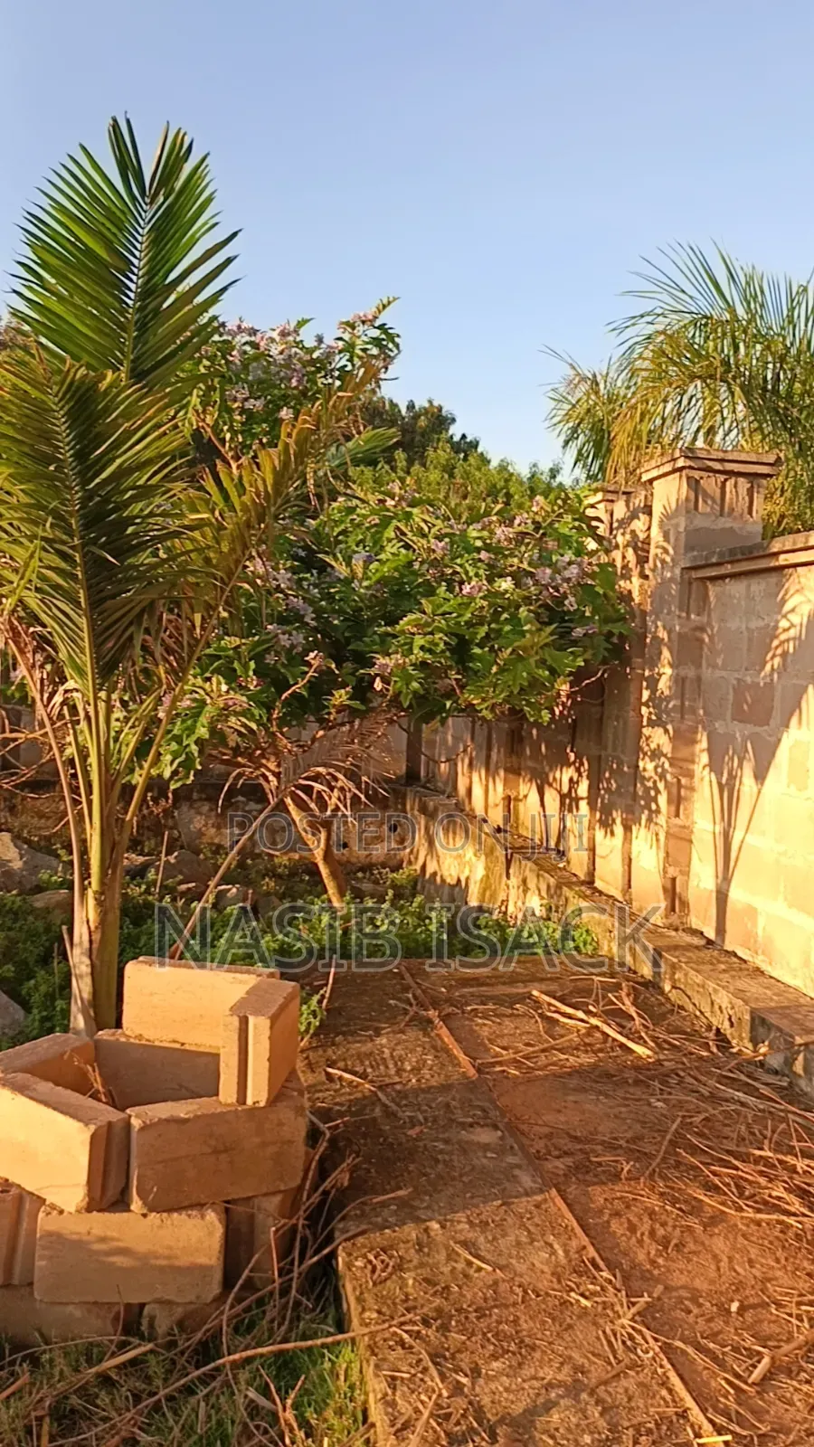 Plot for Sale
